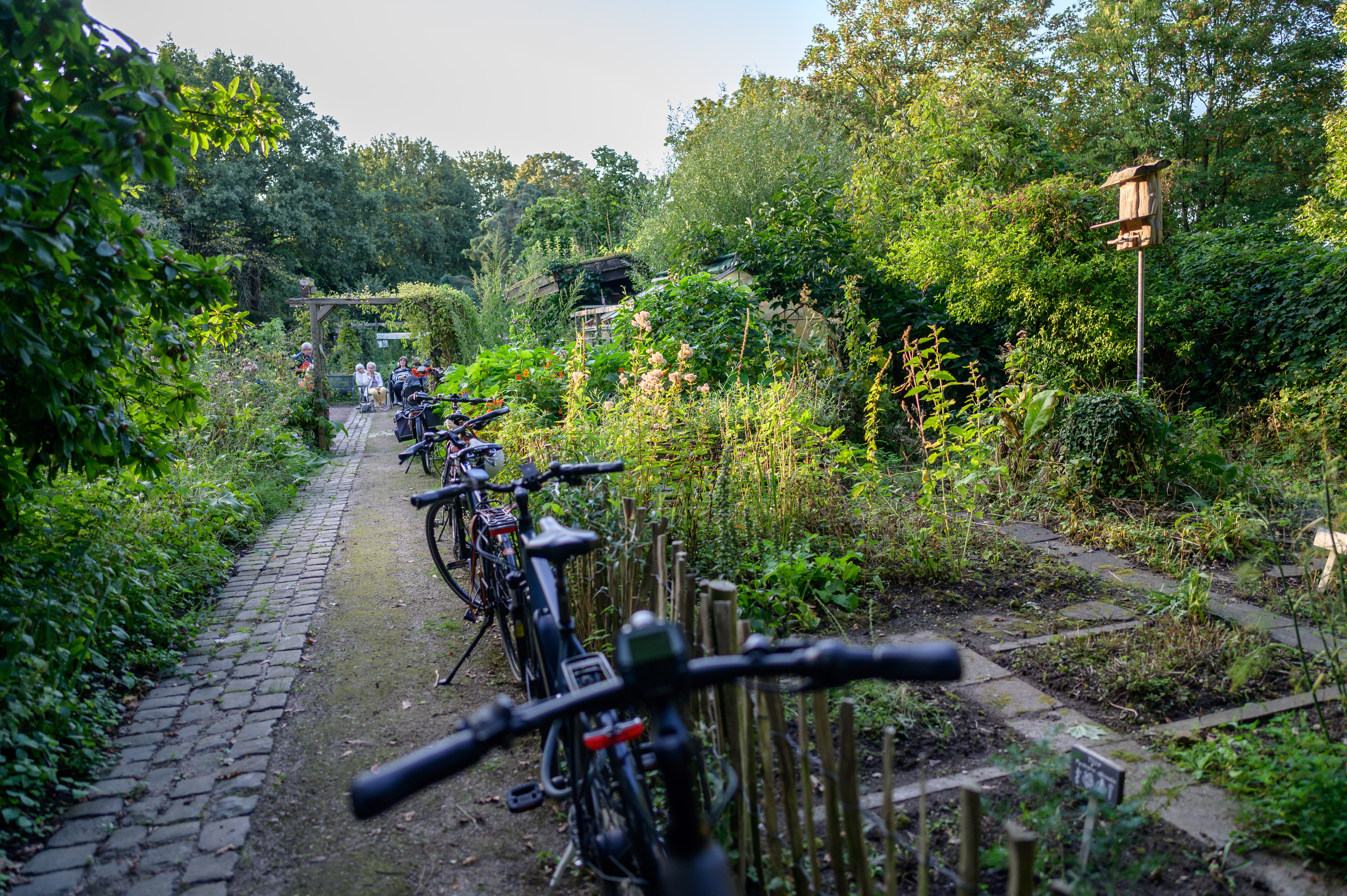 Biogarten