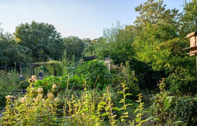Biogarten